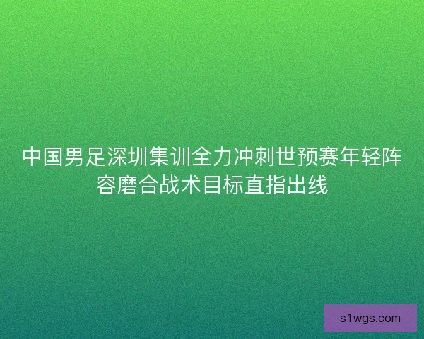 中国男足深圳集训全力冲刺世预赛年轻阵容磨合战术目标直指出线